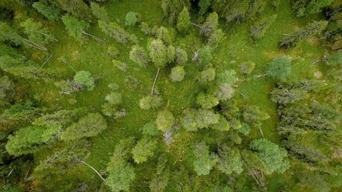 Drone shot