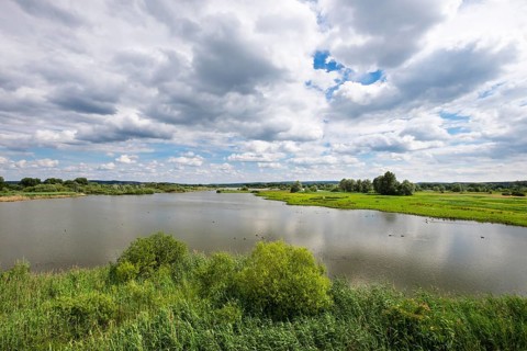 Vogelfreistatte Altmuhlsee Nature Reserve