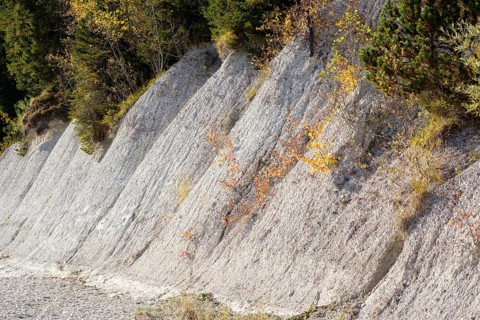 Nagelfluh or conglomerate on the banks of the Isar