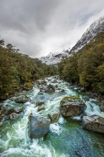Hollyford river with snowy mountains