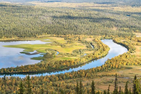 River landscape in autumn
