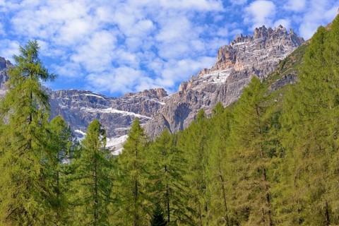 View from the Fischleintal with the larch forest to the Dreischusterspitze 3152 m