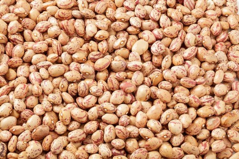 Pinto beans