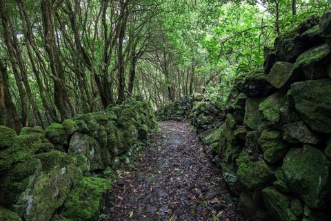 Hiking trail