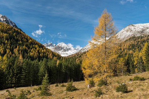 Panoramic view from the autumnal Cracow plain near Etrachsee in direction of Kircheleck and Predigtstuhl