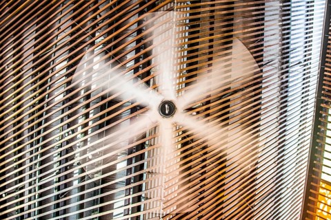 Ceiling fan rotating