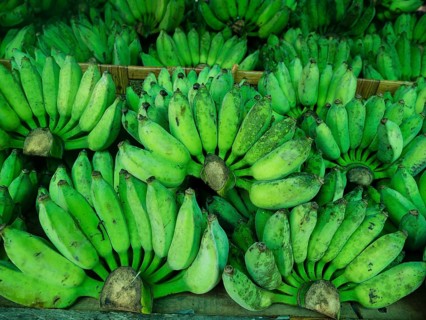 Green bananas at market