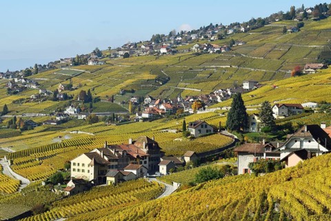 Vineyards in autumn with view of winemaking villages Epesses and Riex