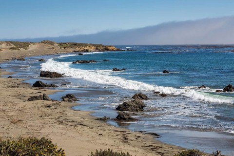 Coastal Landscape