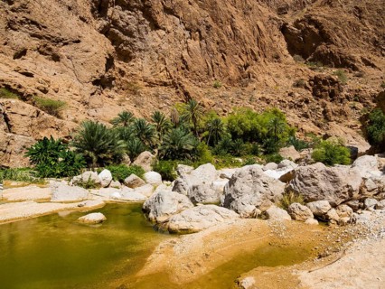 Wadi ash Shab