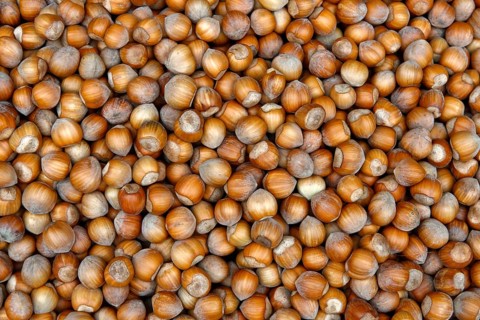Hazelnuts