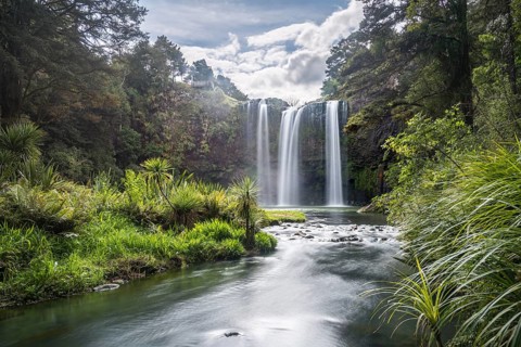 Whangarei Waterfall