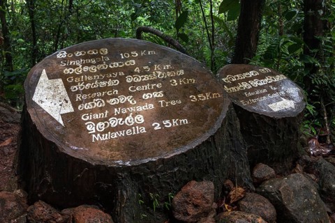 Signpost