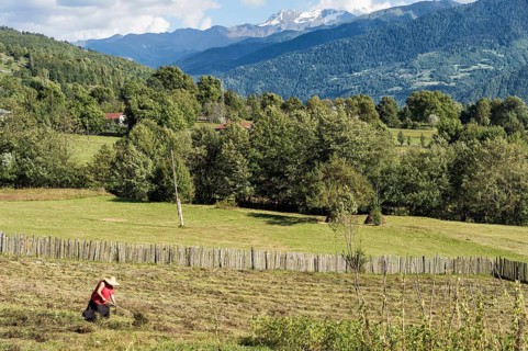 Georgian People working in field