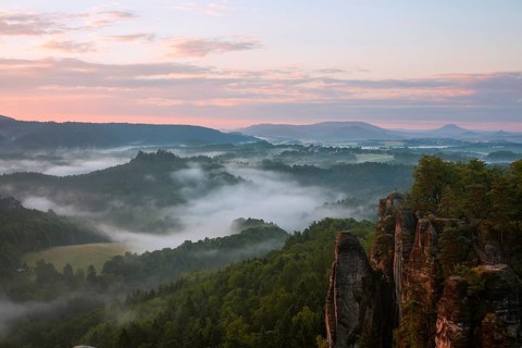 Morning fog in the Wehlgrund valley