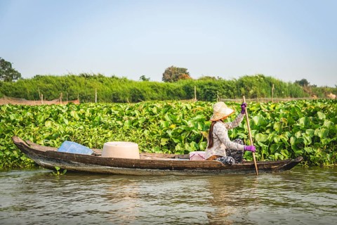 Local trader in rowing boat