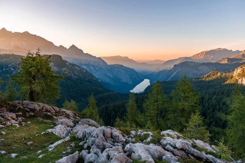 Panorama