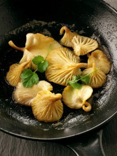 Yellow Oyster mushrooms sauteed in butter in a frying pan