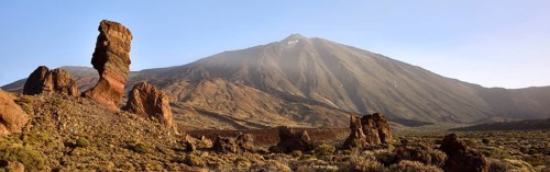Roque Cinchado