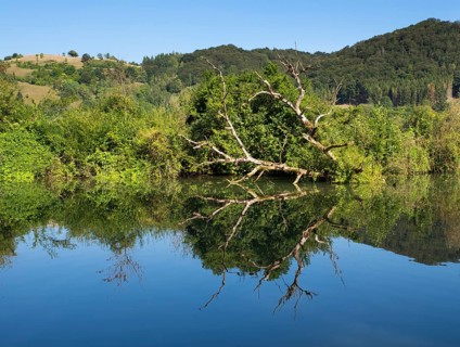 Altmuhl River