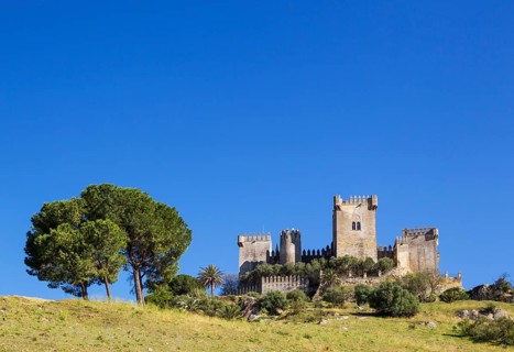 Castle of Almodovar del Rio