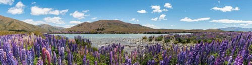 Riverbed of Ahuriri River
