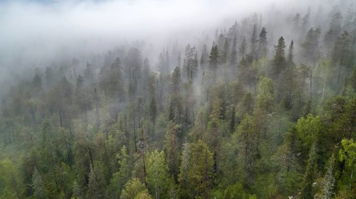 Drone shot