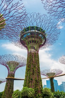 Supertrees
