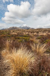 Volcano Mount Tongariro and Mount Ngauruhoe