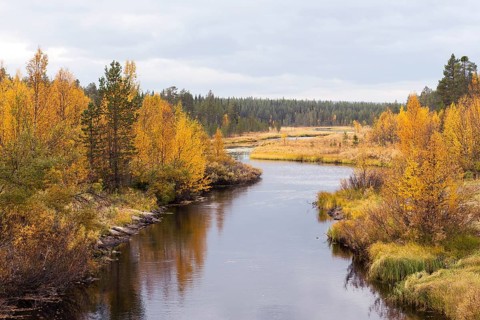 Aekasjoki River east of Muonio