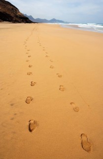 Footprints in the sand
