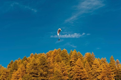Paraglider flying over autumn woods