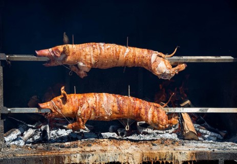Suckling pig on the grill