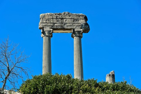 Corinthian columns from Noviodunum Helvetiorum