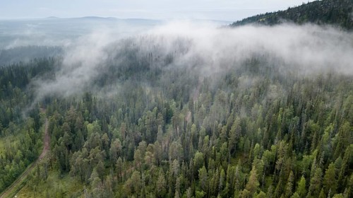 Drone shot