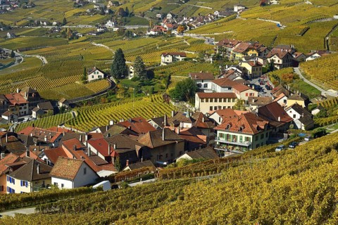Vineyards in autumn with view of winemaking villages Epesses and Riex