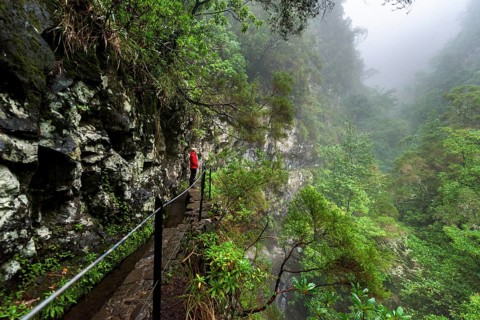 Hikers on narrow footpath along a Levada watercourse