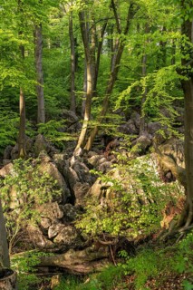 Felsenmeer