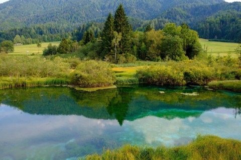 Sava Dolinka spring