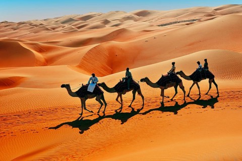 Tourists on camel ride in front of high sand dunes