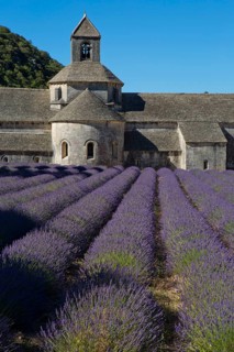 Romanesque Cistercian Abbey Notre Dame of Senanque