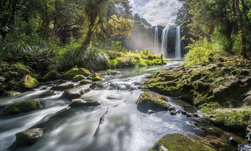 Whangarei Waterfall