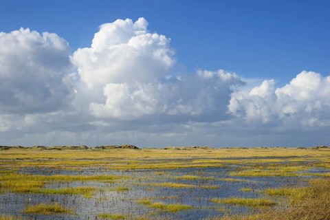Salt marshes with flooding tide and withdrawing cumulus clouds