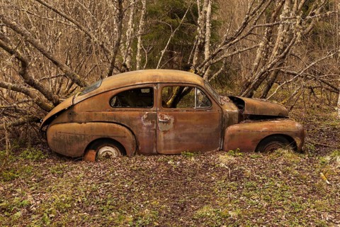 Rusty vintage car in the woods