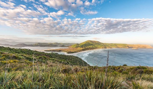 View of beach and sea