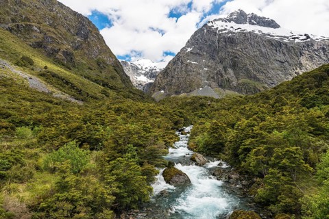 Hollyford River flowing through Fiordland National Park