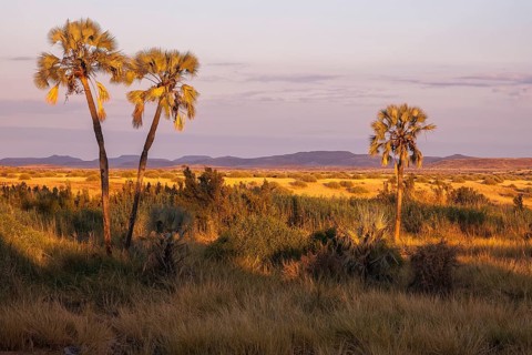 Damaraland