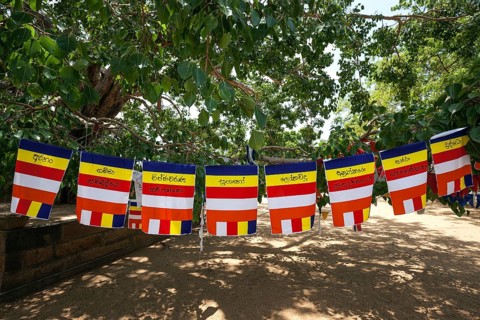 International Buddhist flags
