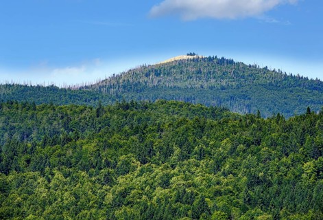 Lusen