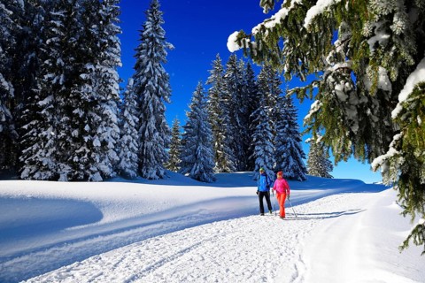 Hikers on Germany's first premium winter hiking trail